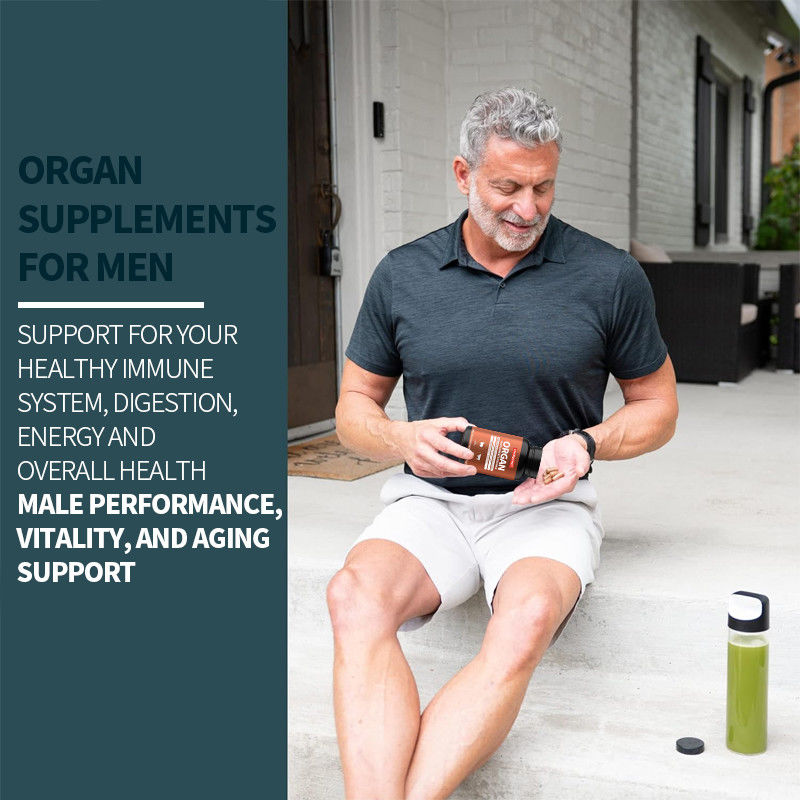 男性のための臓器補給 草食と野生臓器複合体 カプセル 前立腺サポート 男性パフォーマンス補給品