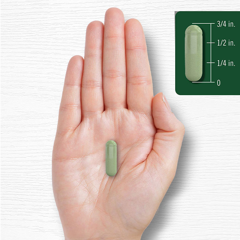 関節 の サポート の ため の モリンガ 粉末 カプセル 睡眠 の 良さ の ため の モリンガ 粉末 サプリメント