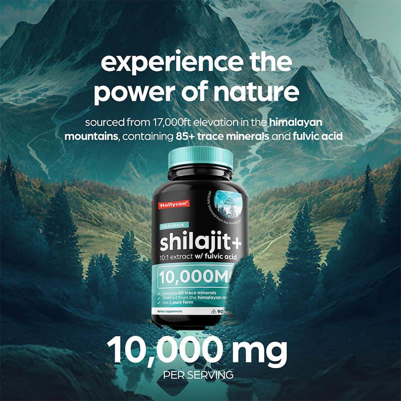OEM 純ヒマラヤシラジット 10000mg 免疫力サポートのための有機シラジットカプセル
