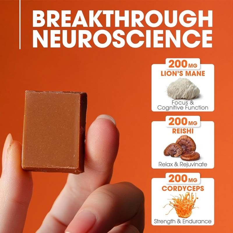 工場 植物 コルディセプス ノートロプ菌 サポート エネルギー 集中 脳 健康 免疫 ガノダーマ ルーシダム 菌 柔らかい 噛み