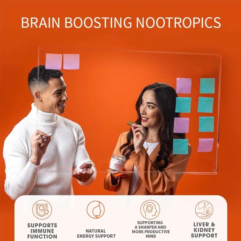 工場 植物 コルディセプス ノートロプ菌 サポート エネルギー 集中 脳 健康 免疫 ガノダーマ ルーシダム 菌 柔らかい 噛み