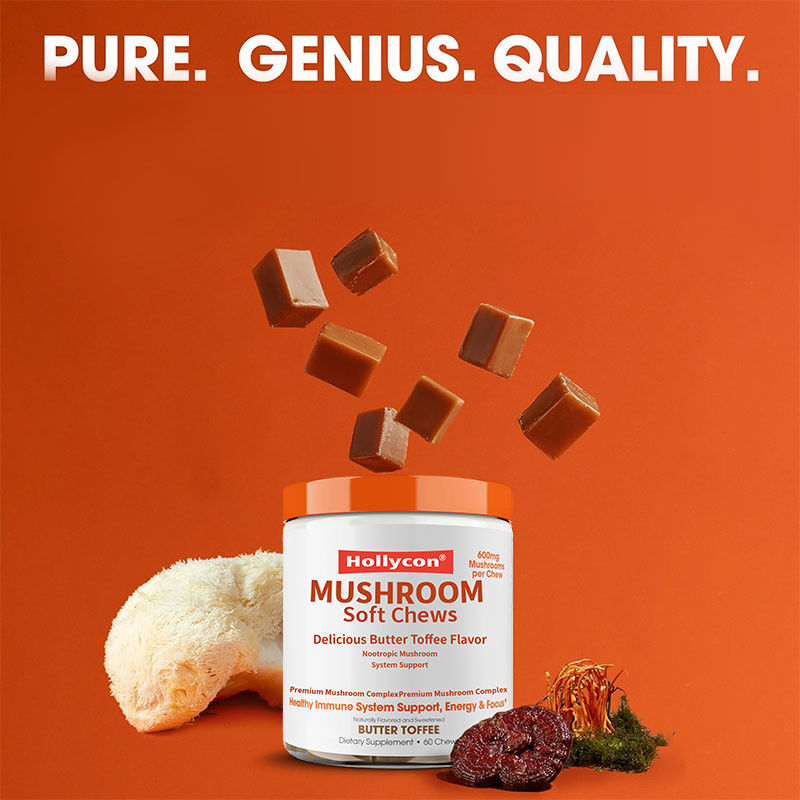 工場 植物 コルディセプス ノートロプ菌 サポート エネルギー 集中 脳 健康 免疫 ガノダーマ ルーシダム 菌 柔らかい 噛み