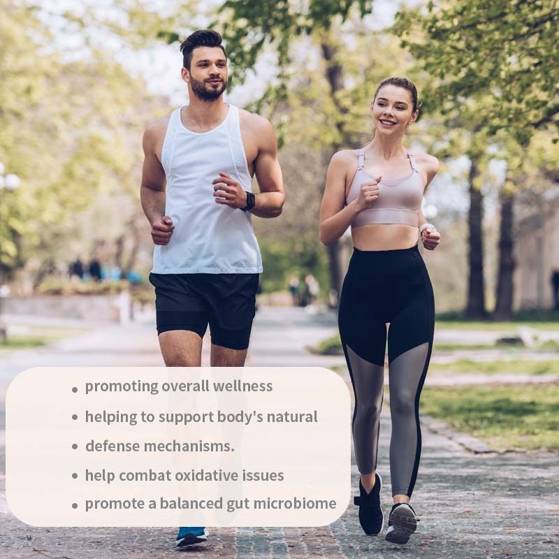 OEM 総合的な健康を促進する 身体の天然防衛メカニズム 酸化問題と闘う トルコ尾カプセル