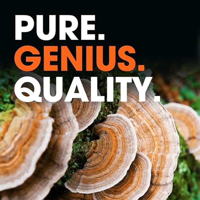 OEM 総合的な健康を促進する 身体の天然防衛メカニズム 酸化問題と闘う トルコ尾カプセル