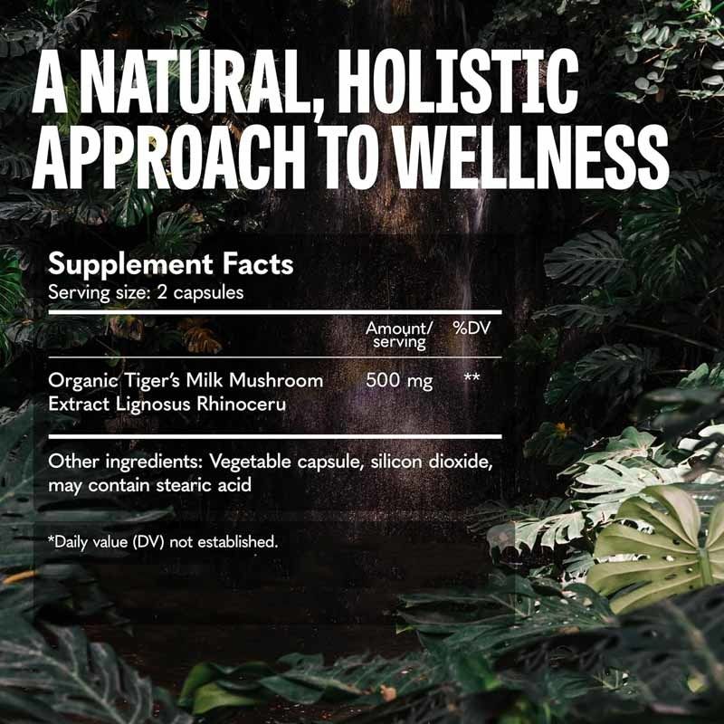 菌類 補給 毛 成長 腸 消化 脳 肺 健康 認知 集中 呼吸 虎 牛乳 菌類 カプセル