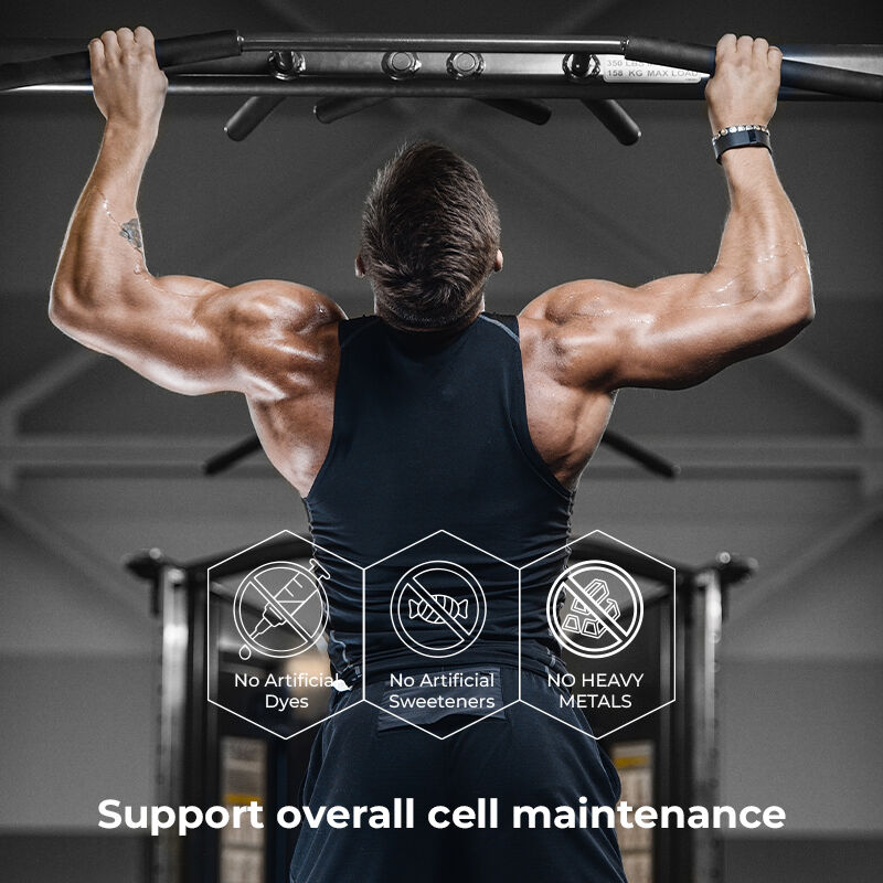 シラジット 男性用ガミー フルビック酸 砂糖のないサプリメント 正常なエネルギーレベルと免疫機能を維持する