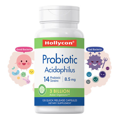 COAはOEM ODM 60の計算の消化が良いサポートPrebioticのProbioticカプセルを補う