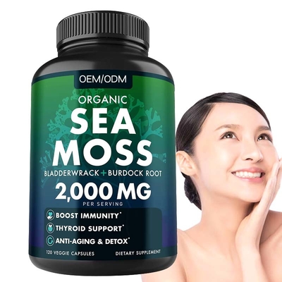 Unflavored有機性海コケはWildcrafted GMOの海コケの未加工グルテンの自由なSeamossの丸薬60非要約する