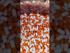 キノコ スーパーフード デイリー ブースト カプセル